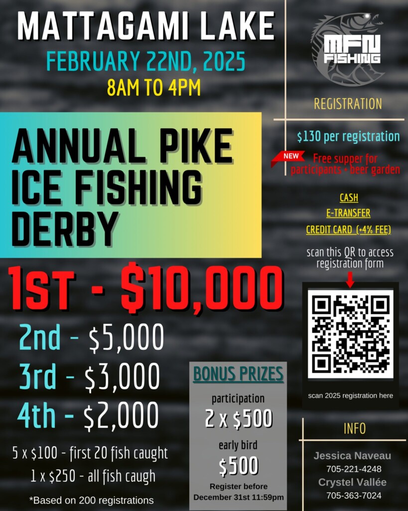 MFN Ice Derby poster